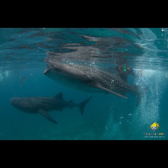 Meet your Posher, Jennifer - Picture 4 of 12